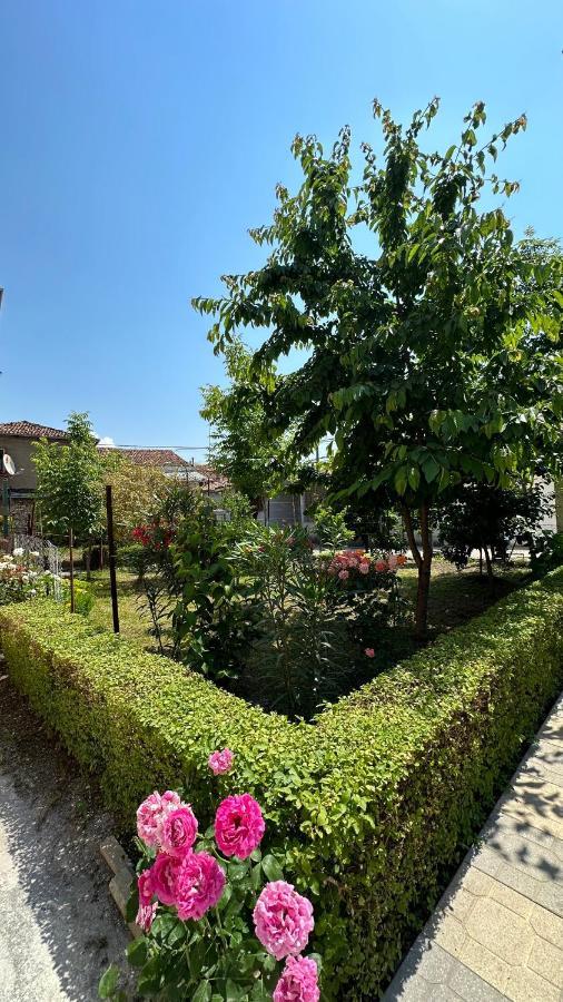 Js House Shkoder 2 Apartment Bagian luar foto